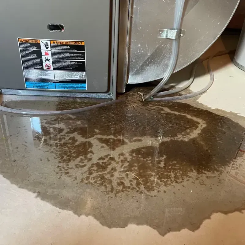 Appliance Leak Cleanup in Olivet, SD